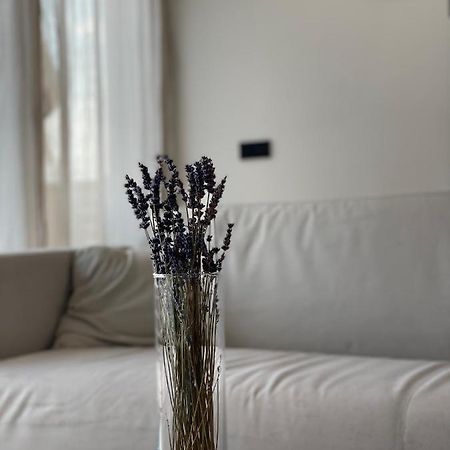 Roemer Apartment Und Zimmer Тюркхайм Экстерьер фото